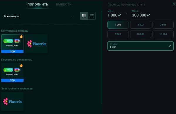 Пополнение и вывод